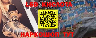 mdpv Кингисепп